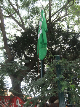 ecoPortela2