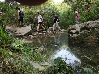 PasseioIX 117