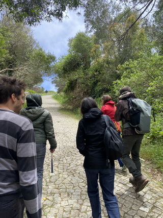 caminhada resize