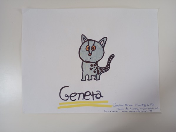 Imagem2