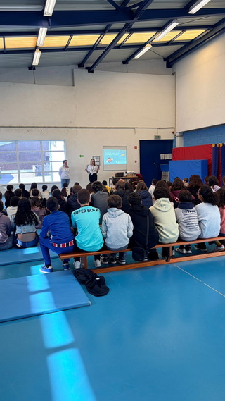 Palestra resize