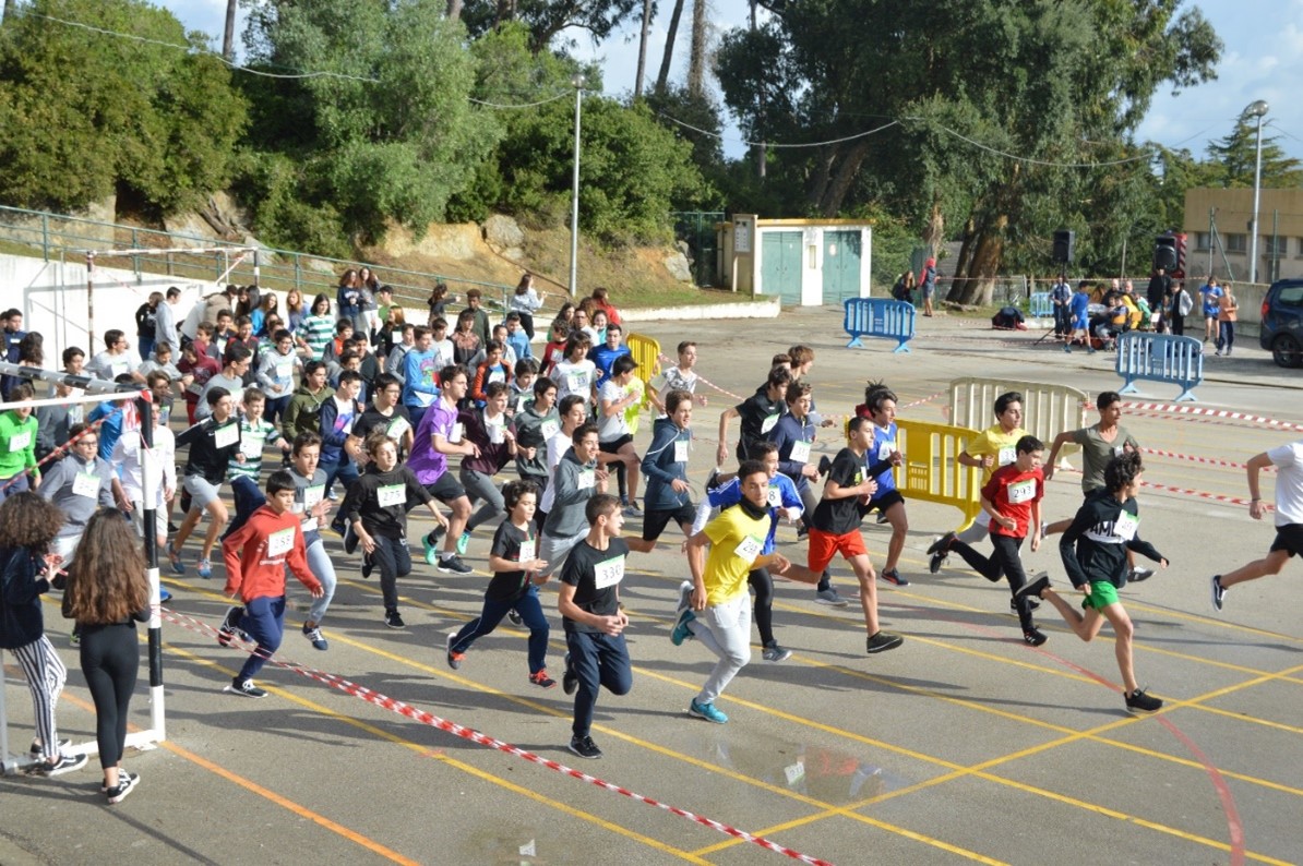 Imagem1