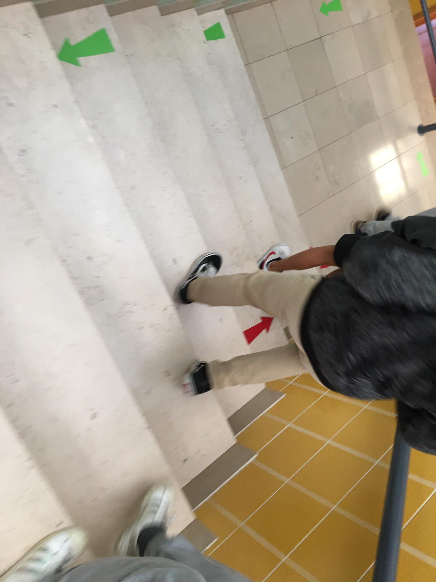 EBI Col1